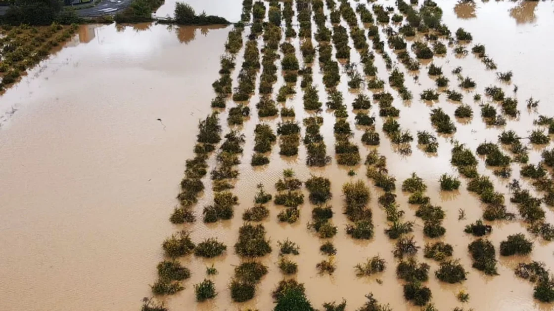 Peringatan Banjir dan Hujan Lebat di Yunani dan Turki