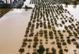 Peringatan Banjir dan Hujan Lebat di Yunani dan Turki