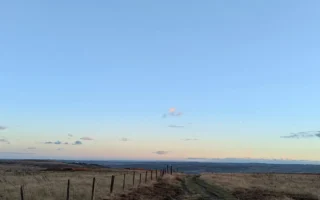 Menikmati Atraksi Burung Jackdaw di Langit West Yorkshire