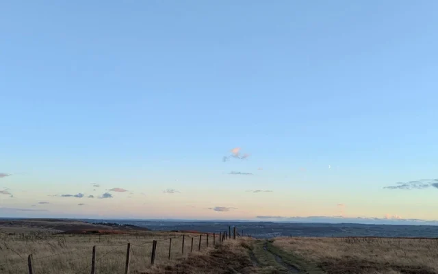 Menikmati Atraksi Burung Jackdaw di Langit West Yorkshire