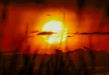 Catatan Suhu Biro Meteorologi Australia Diserang Pihak Skeptis