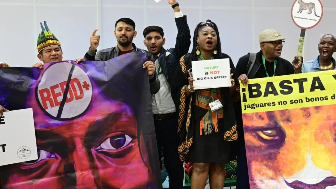 KTT Keanekaragaman Hayti Cop17 Dinilai Mandek, Waktu Menipis