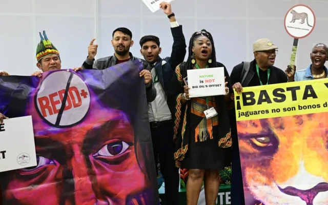 KTT Keanekaragaman Hayti Cop17 Dinilai Mandek, Waktu Menipis