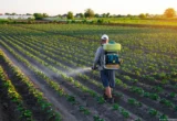 Uni Eropa Longgarkan Aturan Pestisida Demi Petani