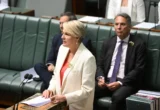Tanya Plibersek Dorong Perempuan Muda Terjun ke Politik