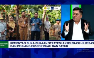 Kementan Incar Posisi Eksportir Buah Nomor 1 Dunia