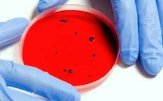 Startup AI Bikin Virus Buatan & Disuntik ke Manusia