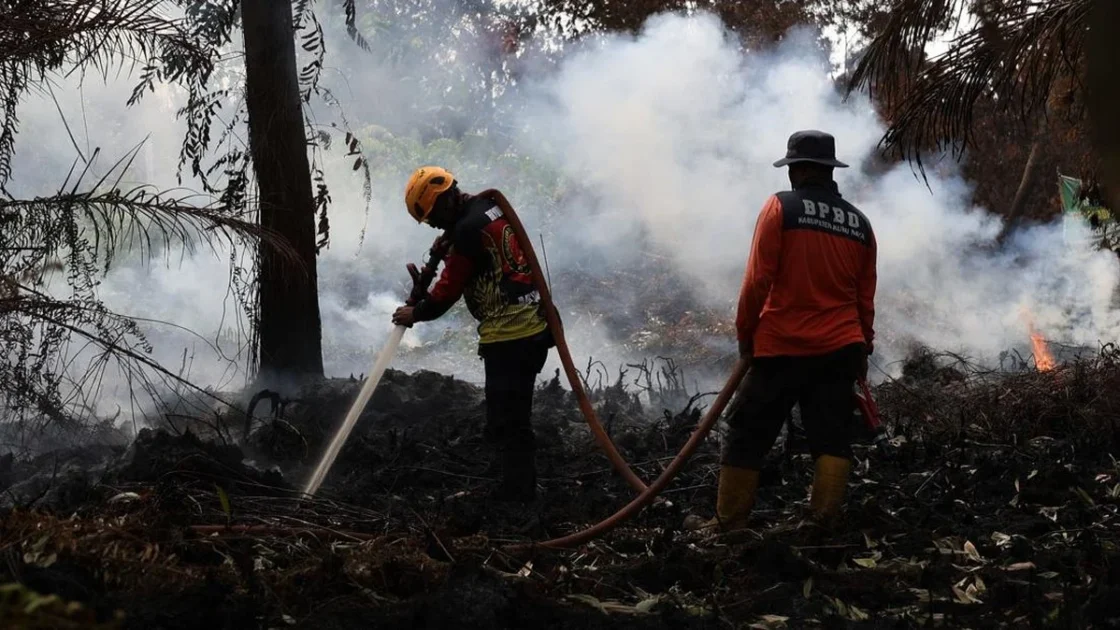 Prabowo Salurkan Rp240 Miliar Atasi Karhutla Kalbar