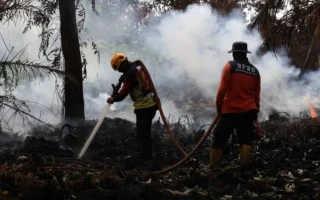 Prabowo Salurkan Rp240 Miliar Atasi Karhutla Kalbar