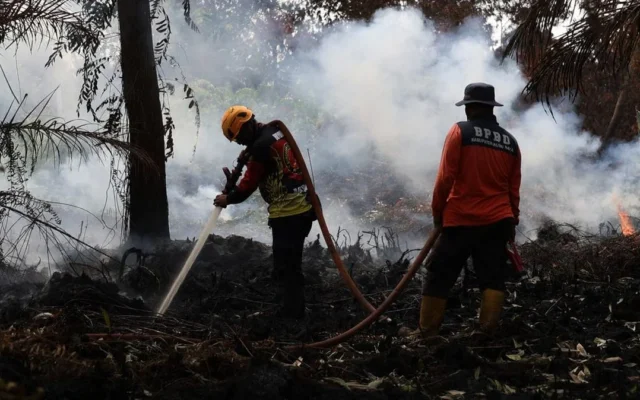 Prabowo Salurkan Rp240 Miliar Atasi Karhutla Kalbar