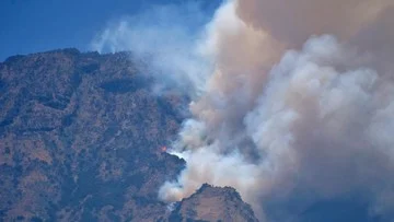 Kebakaran Gunung Sumbing: 779 Hektare Hutan Hangus Terbakar