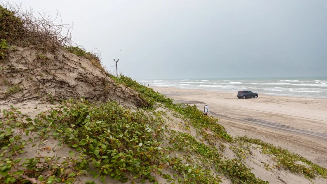 Pantai Publik di Texas Berfungsi Sebagai Jalan Raya yang Dapat