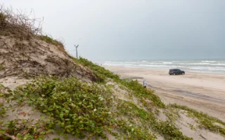 Pantai Publik di Texas Berfungsi Sebagai Jalan Raya yang Dapat