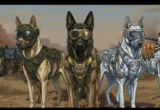 Startup Warhound Rekayasa Genetika Anjing untuk Militer AS