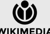 Sikap Wikimedia Foundation dalam Kasus Hukum NYT vs OpenAI