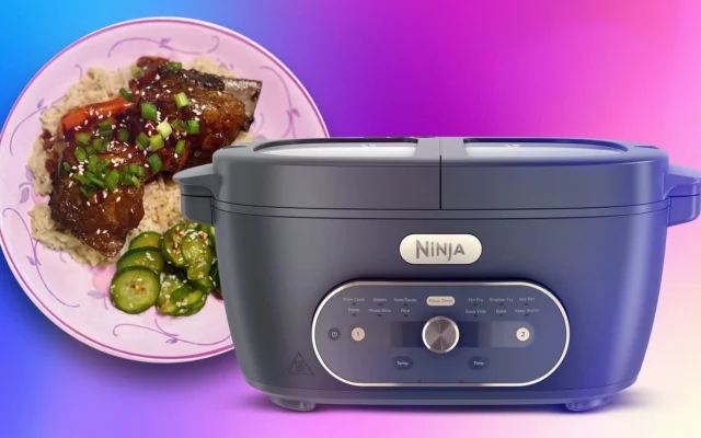 Review Ninja MultiPot XL: Alat Masak Serbaguna
