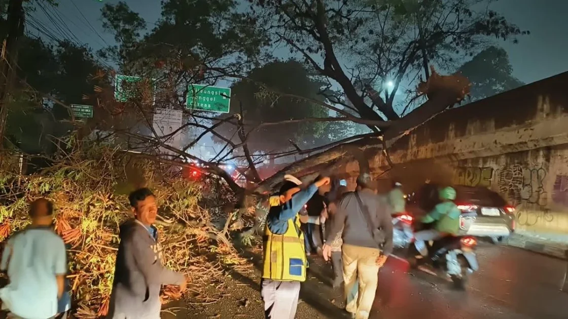 Pohon Tumbang di Cibubur Bikin Macet Arah Cileungsi