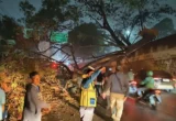 Pohon Tumbang di Cibubur Bikin Macet Arah Cileungsi