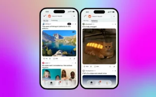 Reddit Hadirkan Tab For You dan Following